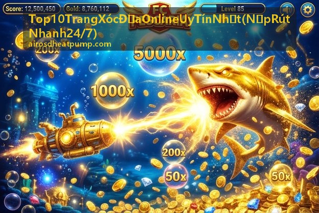 Quy trình kiểm định trang xóc đĩa
